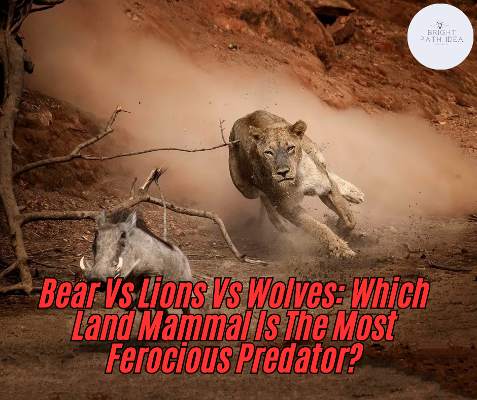 Bear Vs Lions Vs Wolves: Which Land Mammal Is The Most Ferocious Predator?