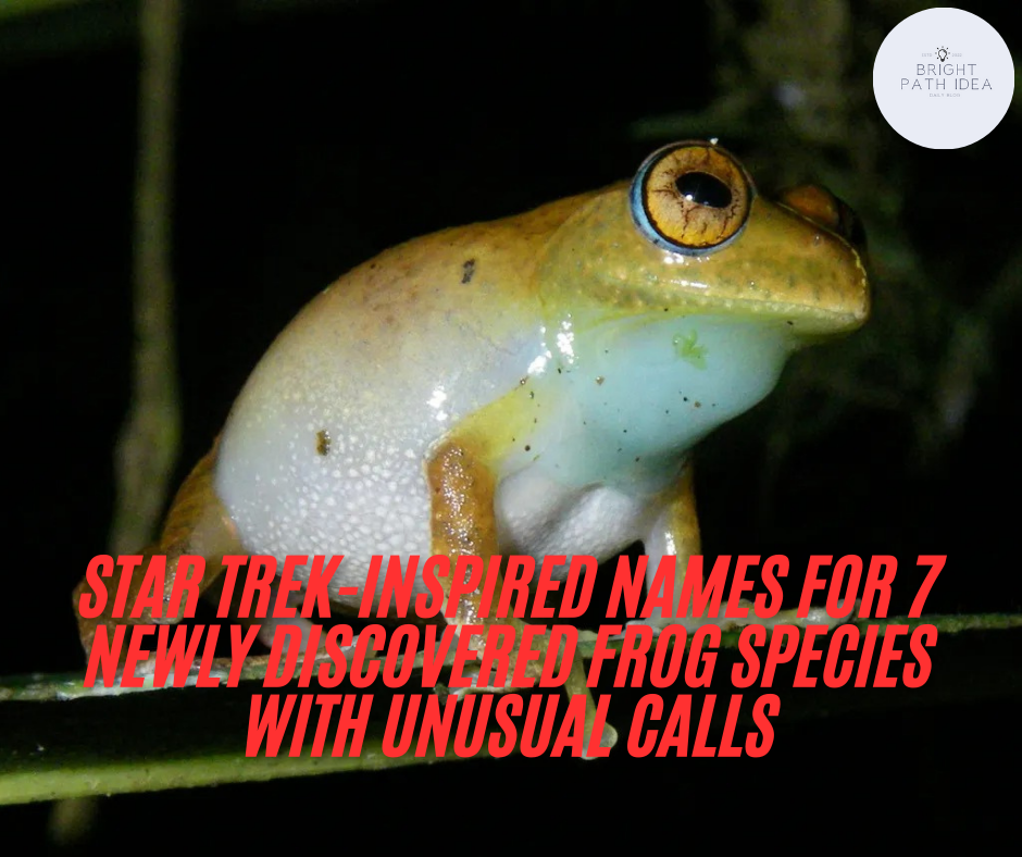 Star Trek-Inspired Names For 7 Newly Discovered Frog Species With Unusual Calls