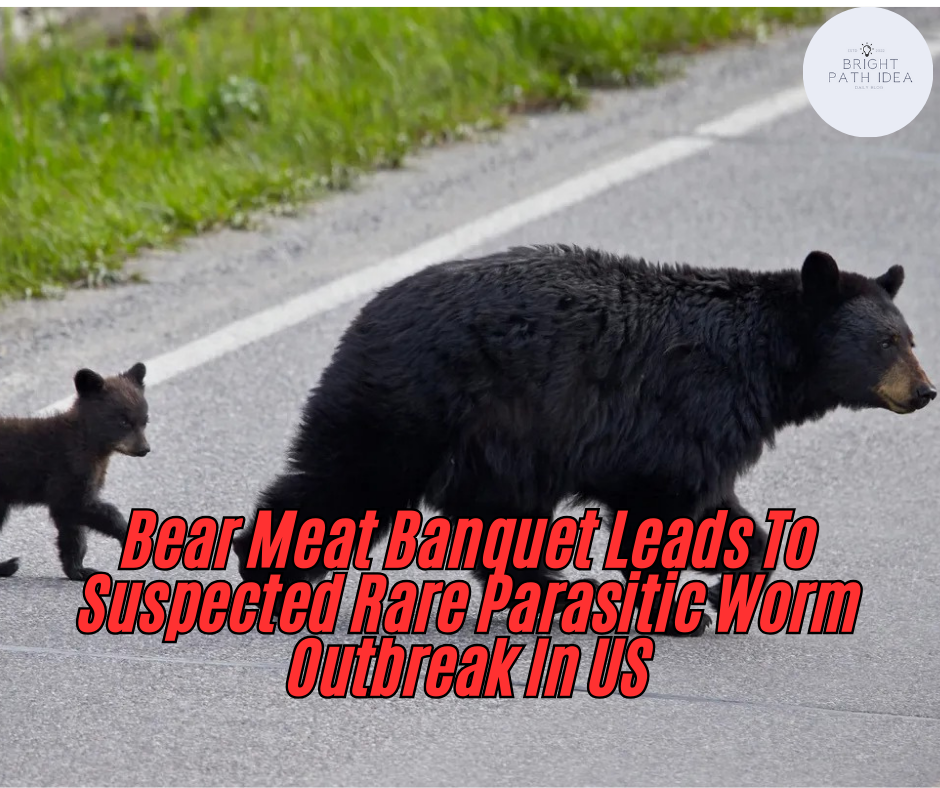 Bear Meat Banquet Leads To Suspected Rare Parasitic Worm Outbreak In US